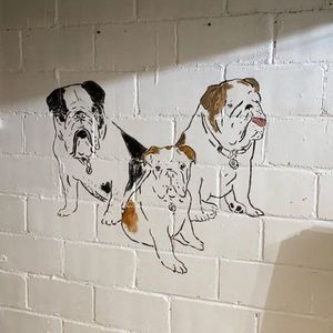 Meet your Posher, Diane